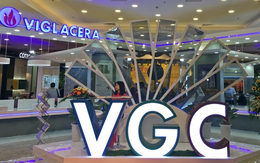 Viglacera (VGC) chốt danh sách cổ đông trả cổ tức bằng tiền tỷ lệ 11%