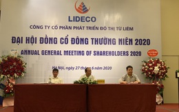 ĐHCĐ Lideco: Dự án liền kề tại Quảng Ninh dự kiến mạng lại doanh thu lớn trong năm 2020