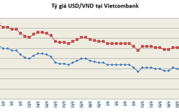 Doanh nghiệp Việt loay hoay ứng phó rủi ro tỷ giá