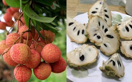7 loại quả là “đặc sản” của mùa hè và những lưu ý cực quan trọng khi ăn
