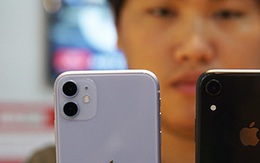 Giá iPhone trong nước giảm giá sốc hàng triệu đồng