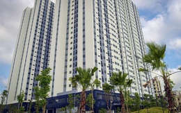 Dự án BT cải tạo chung cư cũ đổi lấy 99ha đất tại Hải Phòng, chủ đầu tư nói gì?