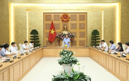 Phó Thủ tướng Trương Hòa Bình: Các dự án không thể tái cơ cấu, phục hồi, kiên quyết cho phá sản, giải thể, hoặc phương án khác