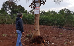 Ham đất giá rẻ và lợi nhuận cao trong lúc "sốt nóng", nhiều nhà đầu tư nếm "trái đắng"