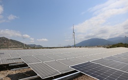Hai nhà máy điện mặt trời 1.500 tỷ đồng tại Bà Rịa – Vũng Tàu sắp được vận hành