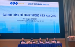 ĐHCĐ Tập đoàn FLC: Phủ nhận thông tin chuyển nhượng Bamboo Airways