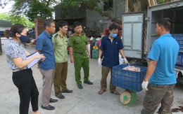 Phát hiện xe ô tô vận chuyển hàng trăm kg bì lợn tươi không rõ nguồn gốc tại Hưng Yên