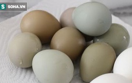 Độc đáo loại trứng xanh đỏ chỉ để tiến vua, nay được rao bán đắt gấp 15 lần trứng gà