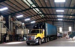 Bộ Công Thương đàm phán đưa 58 container hồ tiêu từ Nepal về nước