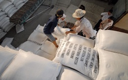 Hạn ngạch xuất khẩu gạo vào EU không quá 80.000 tấn mỗi năm