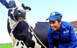 Sữa Mộc Châu: Cổ đông thống nhất kế hoạch chào bán cổ phần trị giá 1.200 tỷ đồng cho Vinamilk và GTN, nới room ngoại và niêm yết HoSE