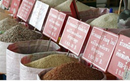 Lượng xuất khẩu gạo của Thái Lan có thể sẽ xuống thấp nhất 10 năm