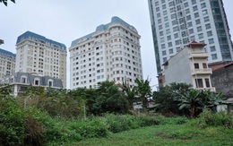 Hà Nội chấm dứt dự án nhà ở 'ôm' đất gần chục năm của Công ty Sơn Hà
