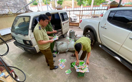 Ngăn chặn 6.500 túi hạt giống rau có dấu hiệu nhập lậu tại Lạng Sơn