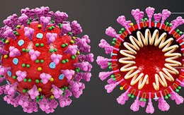 Tiến sĩ tại BV Nhi số 1 tại Mỹ phát hiện: Virus SARS-CoV-2 thay đổi hình dạng để "qua mặt" hệ miễn dịch!