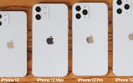 Trên tay mô hình iPhone 12, iPhone 12 Max, iPhone 12 Pro và iPhone 12 Pro Max tại Việt Nam