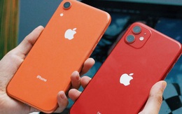 Nghịch lý thị trường Việt: Tại sao các iPhone giá rẻ đều bị "ghẻ lạnh" tại Việt Nam?