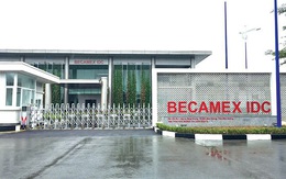 Becamex (BCM) lãi quý 2 giảm 65%, thấp nhất từ khi lên sàn chứng khoán