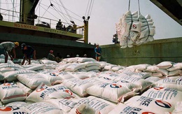 Gạo là nông sản duy nhất có kim ngạch xuất khẩu tăng trong 7 tháng đầu năm