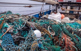 100 tấn rác cùng phát hiện đau lòng trong đợt thu dọn đại dương lớn nhất lịch sử: Con người đã đối xử quá tàn nhẫn với Trái đất rồi