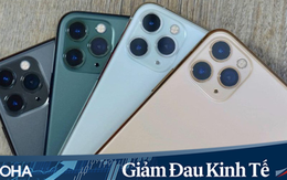 iPhone 11 lock giảm giá chỉ bằng iPhone 7 Plus nhưng vẫn ế khách