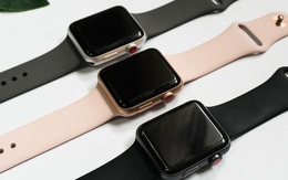 Mua Apple Watch 450.000 đồng, khách “đắng lòng” vì gian thương gửi món đồ không ngờ tới