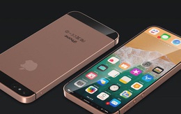 Không phải một, Apple sẽ ra mắt đến hai thiết bị iPhone SE 2 trong năm 2020