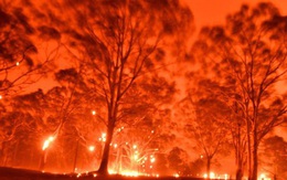 Australia cấp gói cứu trợ 76 triệu AUD cho ngành du lịch sau cháy rừng