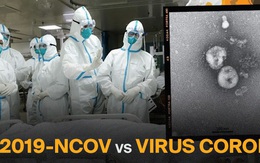 Virus Corona, Coronavirus? Không, "tên thật của kẻ sát nhân" này là 2019 - nCoV nếu bạn muốn tra những thông tin chuẩn xác nhất