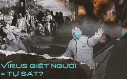 Giải đáp của chuyên gia Harvard: Tại sao các dịch bệnh như virus corona lại giết chết người? Chúng tiến hóa để... tự sát?