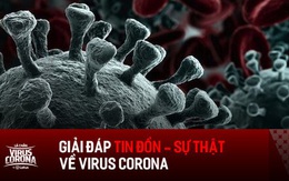 Loạt tin đồn gây hoang mang về virus corona: người nhiễm bệnh sẽ tử vong, đeo khẩu trang là yên tâm 100%?