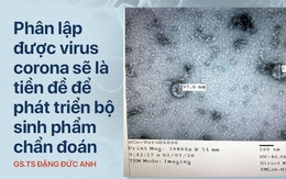 Phân lập virus corona là gì? Ý nghĩa như thế nào đối với tình hình dịch bệnh?