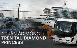 Hai tuần bị cách ly của Diamond Princess: Từ du thuyền xa hoa trở thành “ổ dịch” virus corona lớn thứ nhì thế giới