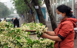 Kiếm bạc triệu nhờ bán hoa theo lạng trên phố Hà Nội