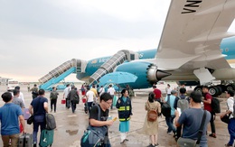 Các hãng hàng không Việt Nam đồng loạt giảm khai thác đường bay Hàn Quốc