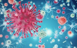 Chuyện kể từ phòng thí nghiệm nghiên cứu virus cúm: Những đặc tính "kỳ lạ" của “con cúm"