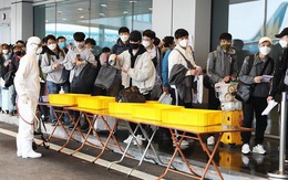 Gần 1.800 công dân từ Hàn Quốc về sân bay Vân Đồn được cách ly