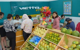 Viettel Post mở cửa hàng bán trái cây ngay tại bưu cục chuyển phát, cam kết giao hàng chỉ trong 2h