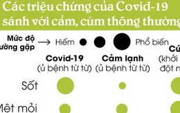 [Infographic] Làm thế nào để biết bạn đã mắc Covid-19 hay chỉ bị cảm cúm thông thường?