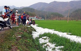 Mưa đá phủ trắng ruộng vườn ở Điện Biên, Sơn La, Hòa Bình