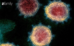 Chuyên gia chỉ ra 7 điều cần biết để tuyệt đối tránh lây nhiễm virus trong “thời gian vàng” chống dịch Covid-19