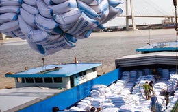 Đề xuất phương án xuất khẩu 400.000 tấn gạo trong tháng 4