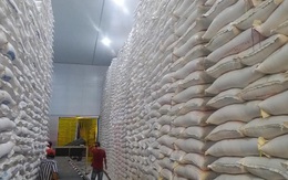 Điểm nghẽn trong xuất khẩu gạo của các doanh nghiệp vùng ĐBSCL