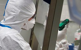 113 phòng ban ở Viện Pasteur, Paris đang tập trung vào giải pháp "con ngựa thành Troy" trong việc tạo ra vắc-xin chống COVID-19