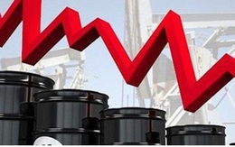 OPEC+ họp khẩn sau khi dầu thô giảm giá kỷ lục