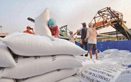 Kiến nghị Thủ tướng cho xuất khẩu gạo trở lại bình thường từ 01/5