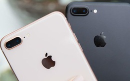 iPhone 7 và iPhone 8 vẫn tiếp tục rớt giá, về ngang với điện thoại bình dân