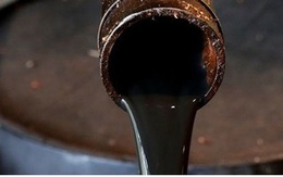 Giá dầu rớt xuống 0 được dự báo từ cách đây bốn năm