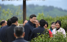 Covid-19: Sự "bất thường" đằng sau những chuyến thị sát thông thường của giới lãnh đạo Trung Quốc