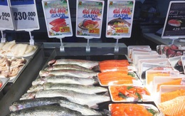 Vừa nới lỏng cách ly, cá hồi Lào Cai lại tăng giá “phi mã”